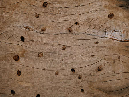 Old wood background.の写真素材