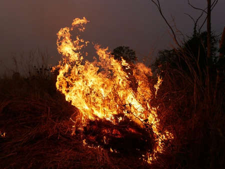 The fire burns rice straw and hay in the field at night.