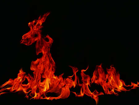 Blaze fire flame texture for banner background.の写真素材
