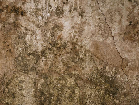 Cement floor for plastering walls and walls to be beautiful.の写真素材