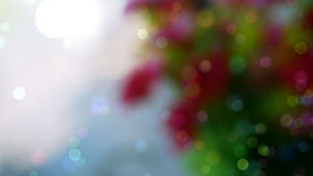 Bokeh backgrounds are bursting with color and glamor like a celebration. Suitable for advertising background.の写真素材