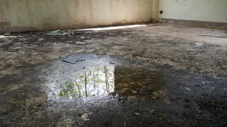 abandoned building Abandoned room with cracked walls and peeling paint There is water inside the...