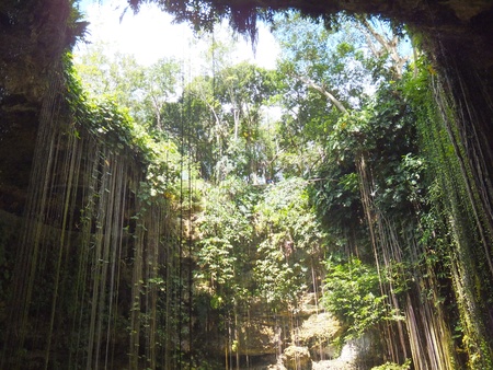 Ik-Kil Cenote near Chichen Itza, Mexicoの写真素材