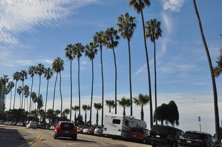 La Jolla Beach near San Diego, Californiaのeditorial素材