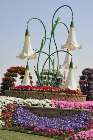 Dubai Miracle Garden, in the UAE, has over 45 million flowers のeditorial素材