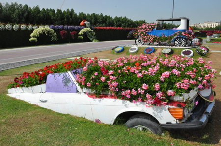 Dubai Miracle Garden, in the UAE, has over 45 million flowers のeditorial素材