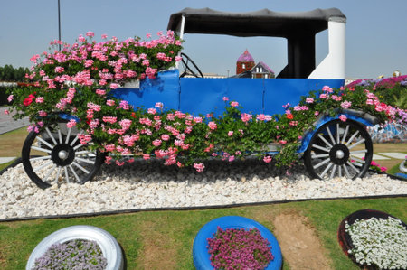 Dubai Miracle Garden, in the UAE, has over 45 million flowers のeditorial素材