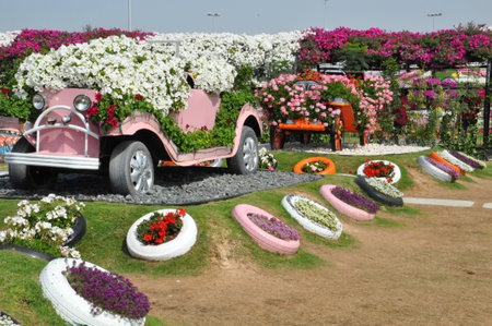 Dubai Miracle Garden, in the UAE, has over 45 million flowers のeditorial素材