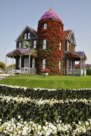Dubai Miracle Garden, in the UAE, has over 45 million flowers のeditorial素材
