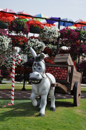 Dubai Miracle Garden, in the UAE, has over 45 million flowers のeditorial素材