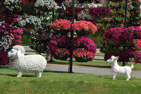 Dubai Miracle Garden, in the UAE, has over 45 million flowers 