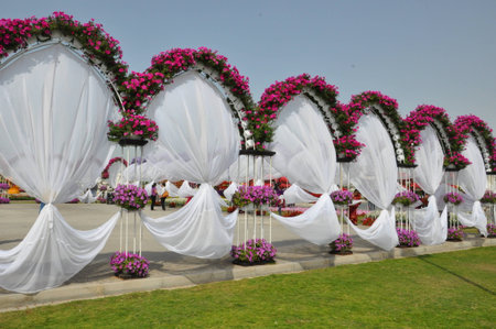 Dubai Miracle Garden, in the UAE, has over 45 million flowers のeditorial素材