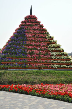 Dubai Miracle Garden, in the UAE, has over 45 million flowers のeditorial素材