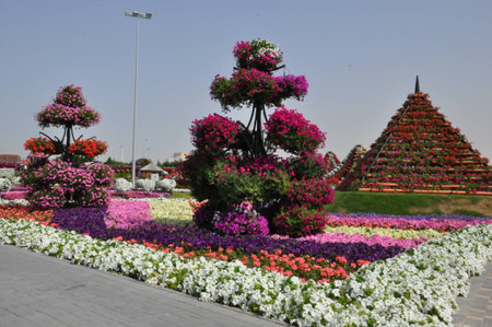 Dubai Miracle Garden, in the UAE, has over 45 million flowers のeditorial素材