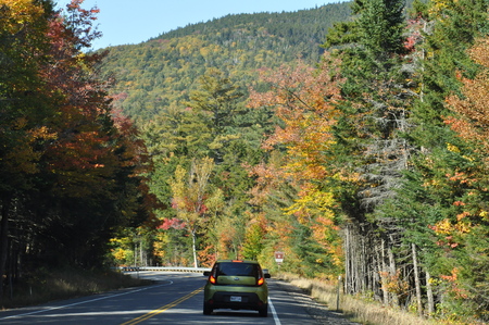 Fall Colors in White Mountain National Forest in New Hampshireのeditorial素材