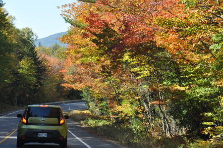 Fall Colors in White Mountain National Forest in New Hampshireのeditorial素材