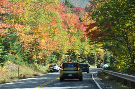 Fall Colors in White Mountain National Forest in New Hampshireのeditorial素材