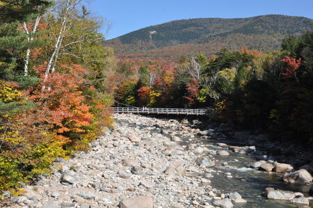 Fall Colors in White Mountain National Forest in New Hampshire