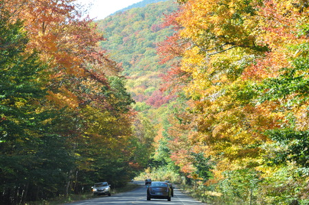 Fall Colors in White Mountain National Forest in New Hampshireのeditorial素材