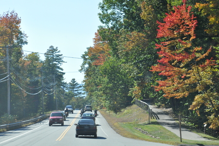 Fall Colors in White Mountain National Forest in New Hampshireのeditorial素材