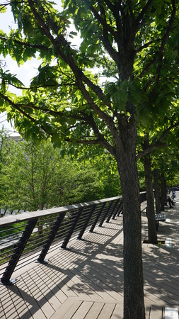 Race Street Pier in Philadelphia, Pennsylvaniaの写真素材