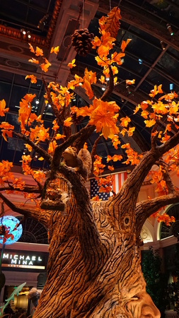 Fall Season at Bellagio Conservatory in Las Vegasのeditorial素材