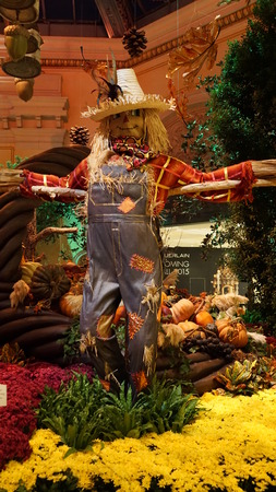 Fall Season at Bellagio Conservatory in Las Vegasのeditorial素材