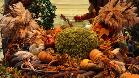 Fall Season at Bellagio Conservatory in Las Vegasのeditorial素材