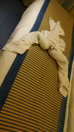 Towel Animal in a Cruise Ship Cabinの写真素材