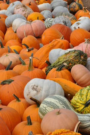 Roba Family Farms in North Abington Township, Pennsylvaniaのeditorial素材