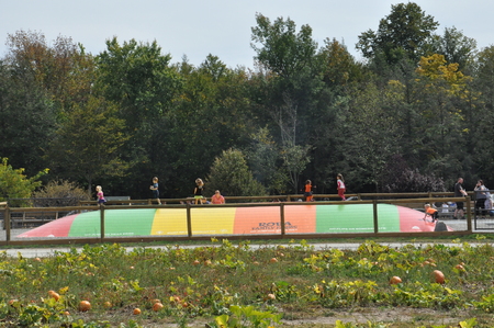 Roba Family Farms in North Abington Township, Pennsylvaniaのeditorial素材