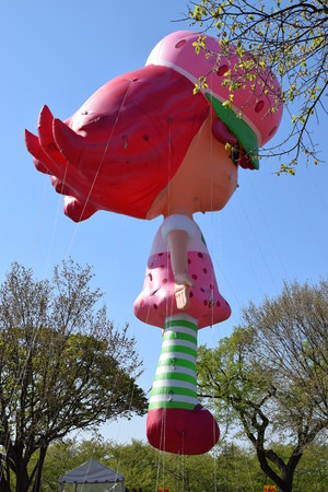 The 2016 National Cherry Blossom Parade in Washington DCのeditorial素材