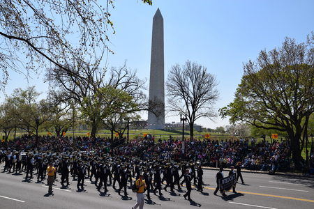 The 2016 National Cherry Blossom Parade in Washington DCのeditorial素材