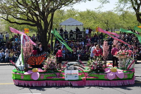 The 2016 National Cherry Blossom Parade in Washington DC