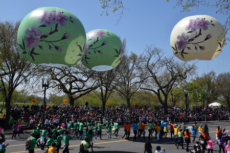 The 2016 National Cherry Blossom Parade in Washington DC