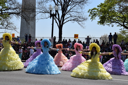 The 2016 National Cherry Blossom Parade in Washington DCのeditorial素材