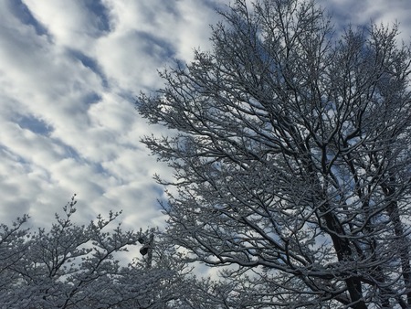 Snow in Stamford, Connecticutの写真素材
