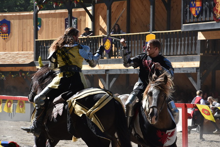 The Joust show at the 2016 Renaissance Faire in Tuxedo Park, New York State