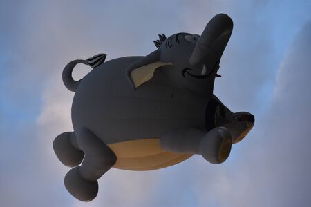 Balloon launch at dawn at the 2016 Adirondack Hot Air Balloon Festivalのeditorial素材