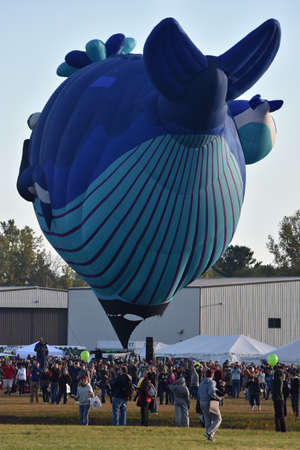 Balloon launch at dawn at the 2016 Adirondack Hot Air Balloon Festivalのeditorial素材