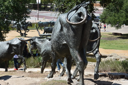 The Cattle Drive Sculpture at Pioneer Plaza in Dallas, Texasのeditorial素材