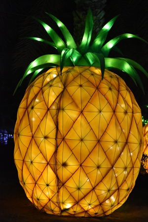 Dubai Garden Glow in Dubai, UAE, as seen on Dec 8, 2016のeditorial素材