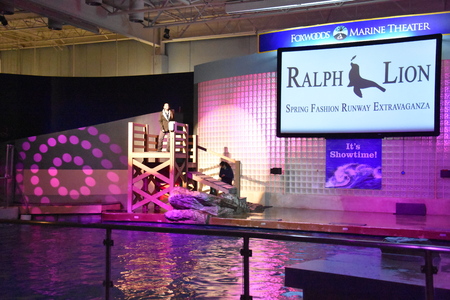 Sea lion show at Mystic Aquarium in Connecticutのeditorial素材