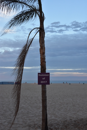 Beach in Ocean City, Marylandのeditorial素材