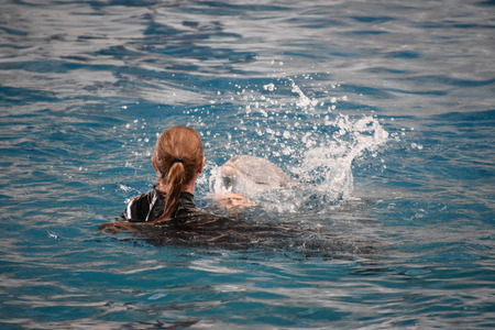 Dolphin show at the National Aquarium in Baltimore, Marylandのeditorial素材