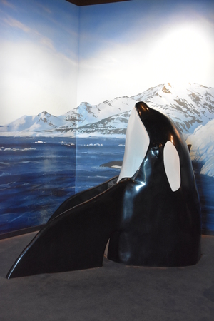 Loveland Living Planet Aquarium in Draper, Utahのeditorial素材