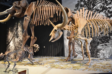 Natural History Museum of Utah in Salt Lake City, Utahのeditorial素材