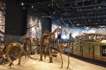 Natural History Museum of Utah in Salt Lake City, Utahのeditorial素材