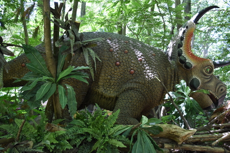 BOSTON, MA - JUN 16: Destination Dino at Franklin Park Zoo in Boston, Massachusetts, as seen on Jun 16, 2018. This was a limited time exhibit featuring more than a dozen moving, roaring, life-sized dinosaurs.のeditorial素材