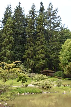 Seattle Japanese Garden at Washington Park Arboretum in Seattle, Washingtonの写真素材
